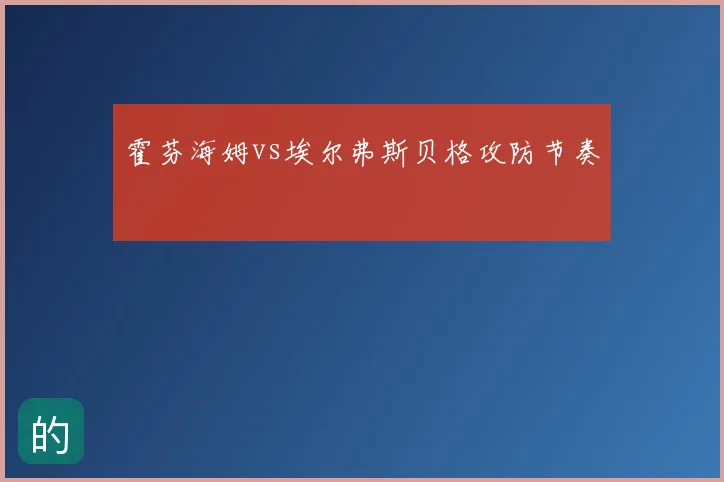 霍芬海姆vs埃尔弗斯贝格攻防节奏