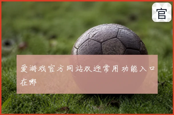 爱游戏官方网站欢迎常用功能入口在哪